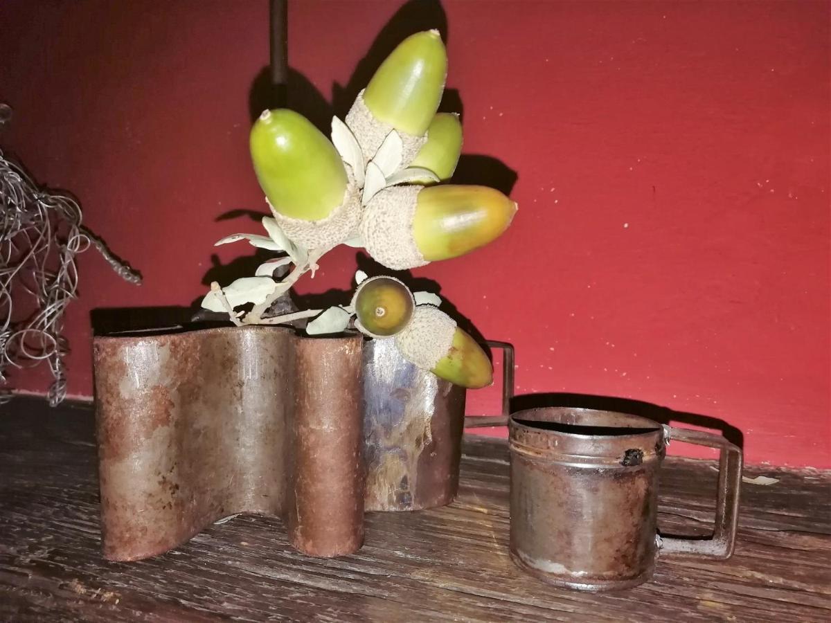 Casa Rural Abuela Maxi Ríolobos Eksteriør billede